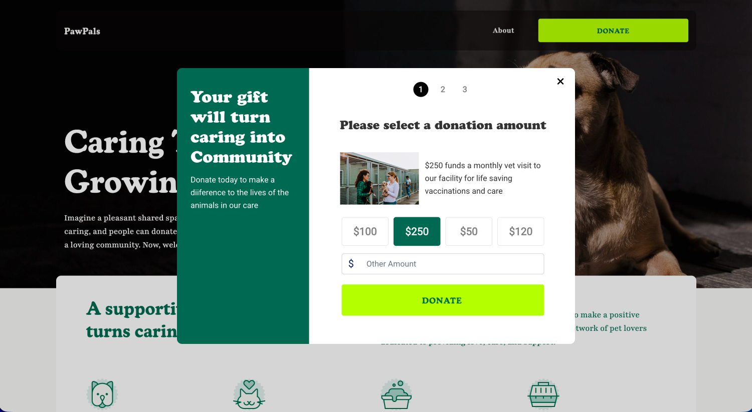Donation modal with preset amounts displayed over a charity campaign page, allowing supporters to give without leaving the page